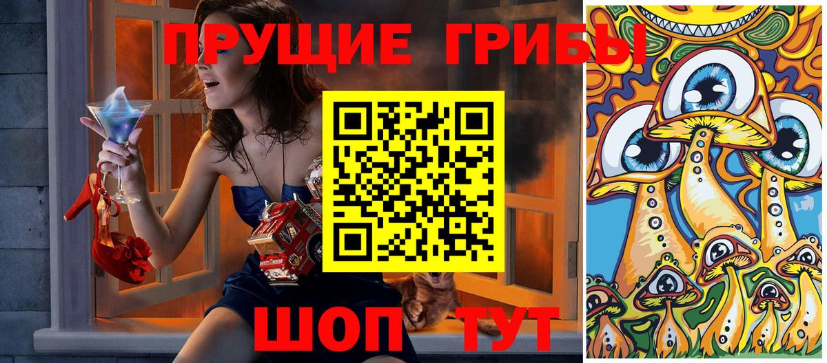 Псилоцибиновые грибы мицелий Бор