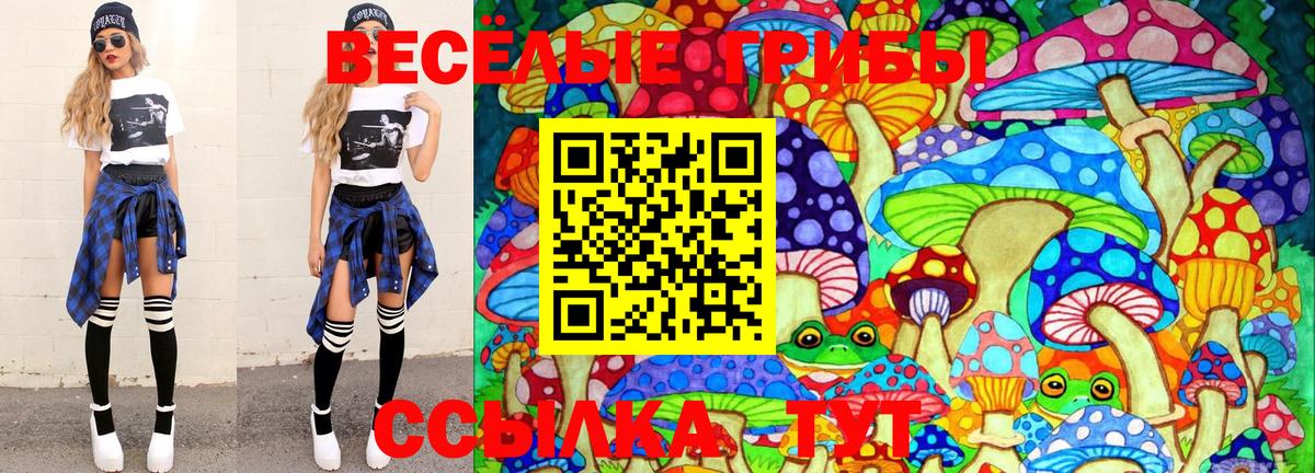Псилоцибиновые грибы ЛСД  Галлюциногенные грибы Psilocybe  Бор  цены наркотик  Вход с VPN 